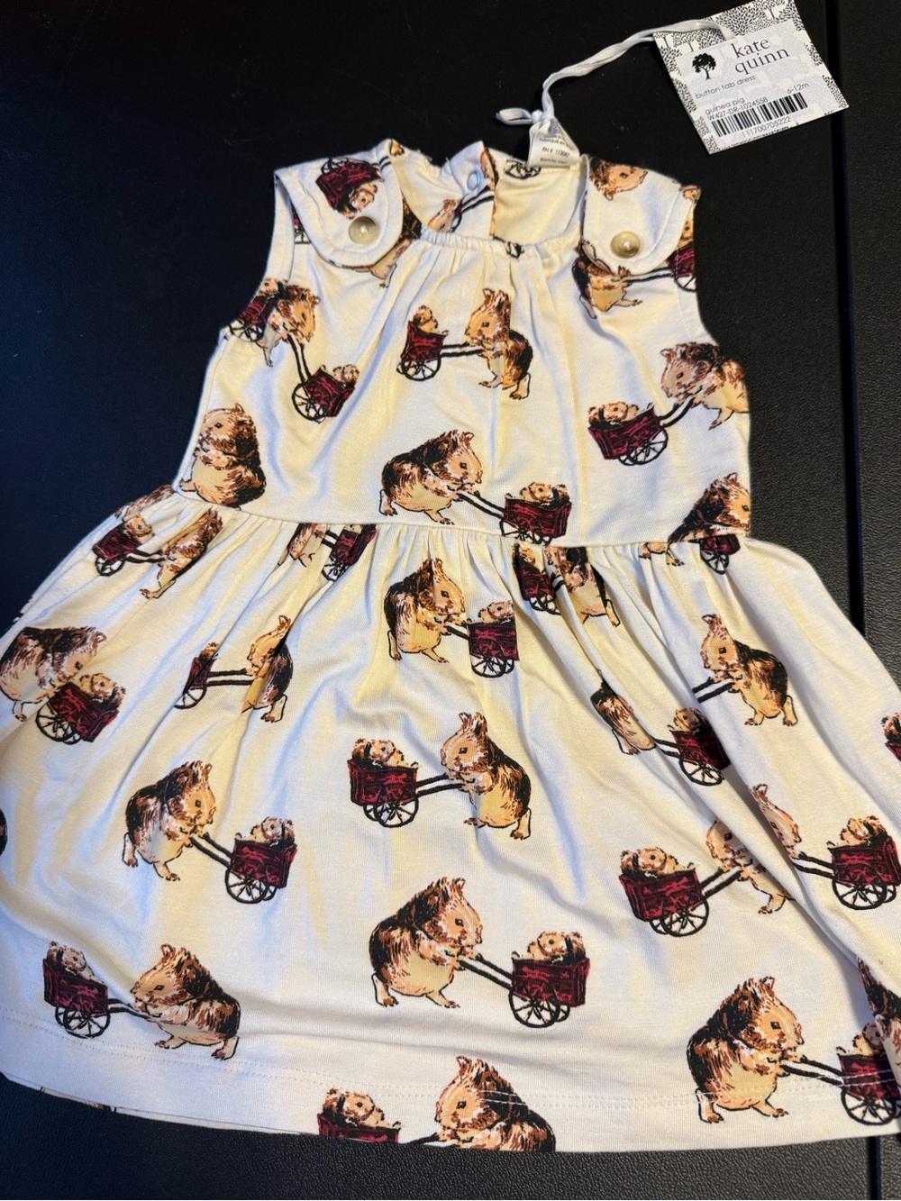 Kate Quinn baby dress whimsical Guinea Pig print